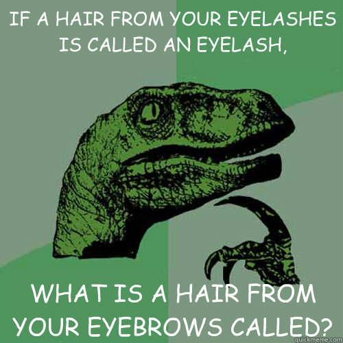 IF A HAIR FROM YOUR EYELASHES IS CALLED AN EYELASH, WHAT IS A HAIR FROM YOUR EYEBROWS CALLED?  Philosoraptor