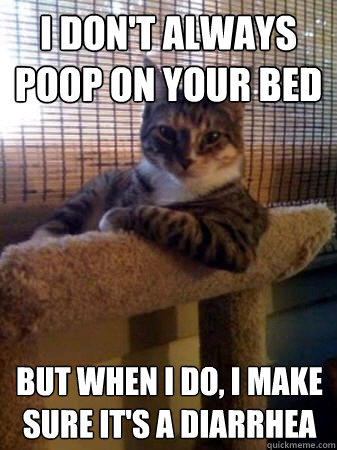 i don't always poop on your bed but when i do, i make sure it's a diarrhea  The Most Interesting Cat in the World