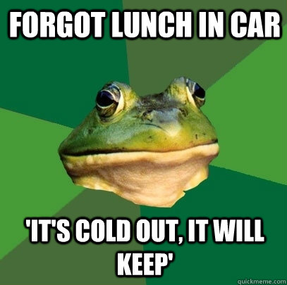 forgot lunch in car 'it's cold out, it will keep' - forgot lunch in car 'it's cold out, it will keep'  Foul Bachelor Frog