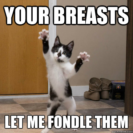 YOUR BREASTS  LET ME FONDLE THEM  