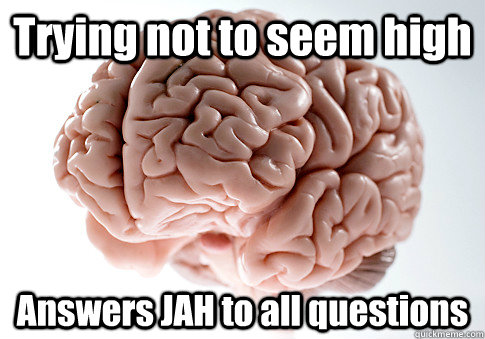 Trying not to seem high Answers JAH to all questions    Scumbag Brain