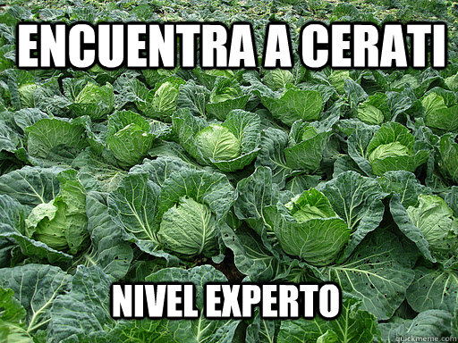 Encuentra a Cerati Nivel Experto  Cabbage