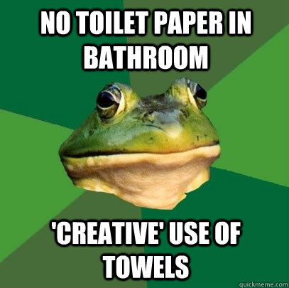 no toilet paper in bathroom 'creative' use of towels  Foul Bachelor Frog