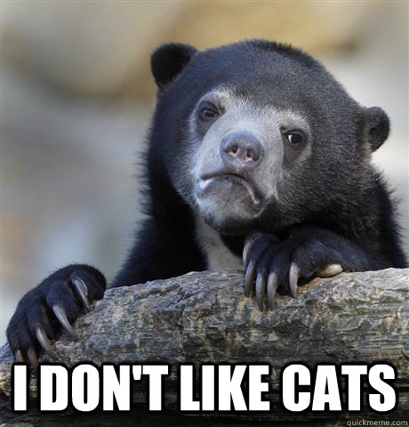  I don't like cats  Confession Bear