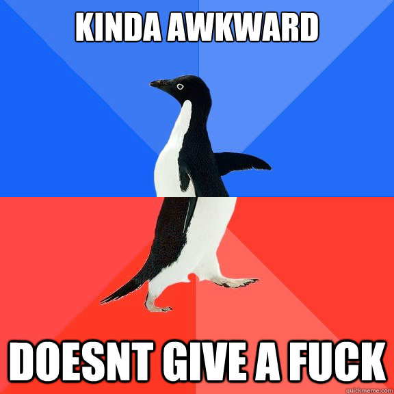 Kinda awkward doesnt give a fuck  Socially Awkward Awesome Penguin