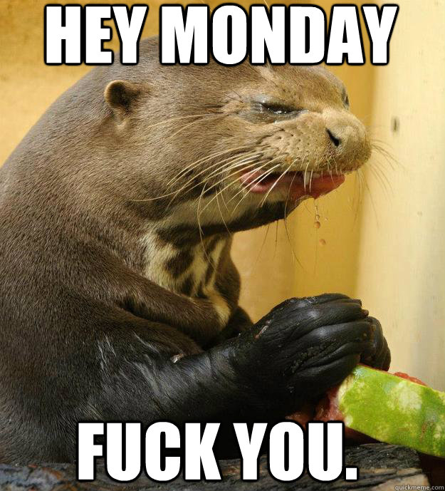 Hey Monday Fuck you.  ornery otter