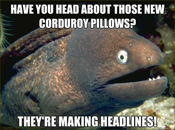 Have you head about those new corduroy pillows? They're making headlines!  Bad Joke Eel