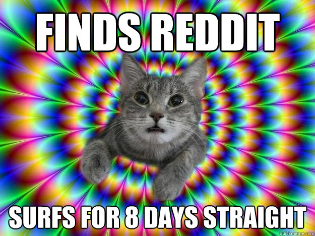 Finds Reddit Surfs for 8 days straight - Finds Reddit Surfs for 8 days straight  Addictive personality cat