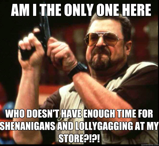 AM I THE ONLY ONE HERE Who doesn't have enough time for shenanigans and lollygagging at my store?!?!   