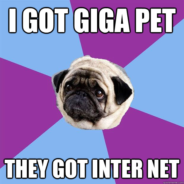 I Got Giga Pet They got inter net  Lonely Pug