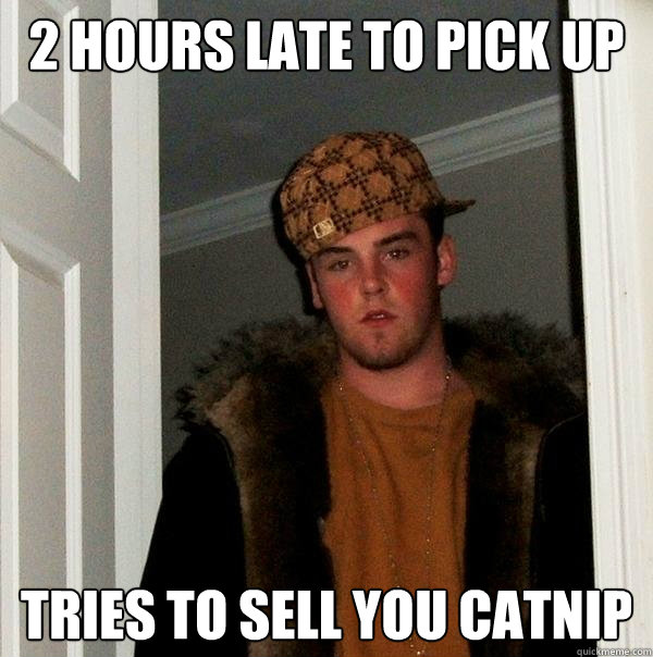 2 hours late to pick up Tries to sell you catnip  Scumbag Steve