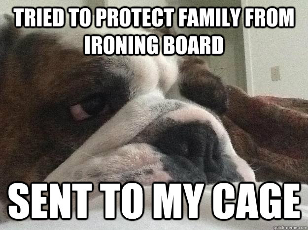tried to protect family from ironing board sent to my cage  First World Dog problems