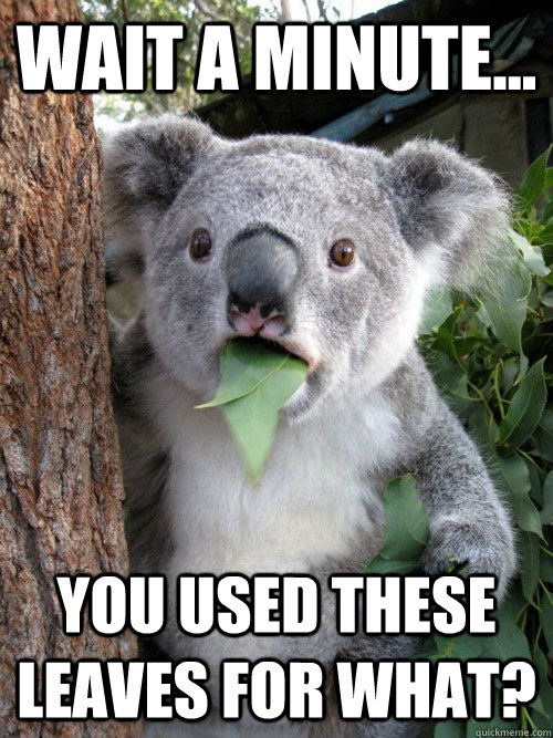 Wait a minute... You used these leaves for what?  Koala