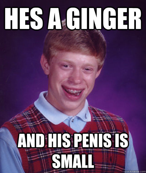 hes a ginger and his penis is small - hes a ginger and his penis is small  Bad Luck Brian