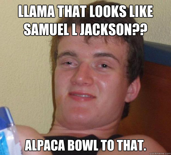 Llama that looks like samuel L Jackson?? Alpaca bowl to that.  Stoner Stanley