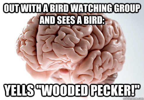 Out with a bird watching group and sees a bird: Yells 