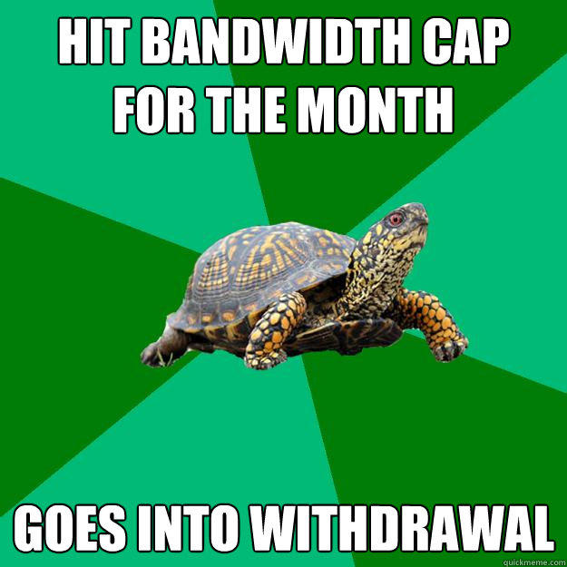 hit bandwidth cap for the month goes into withdrawal  