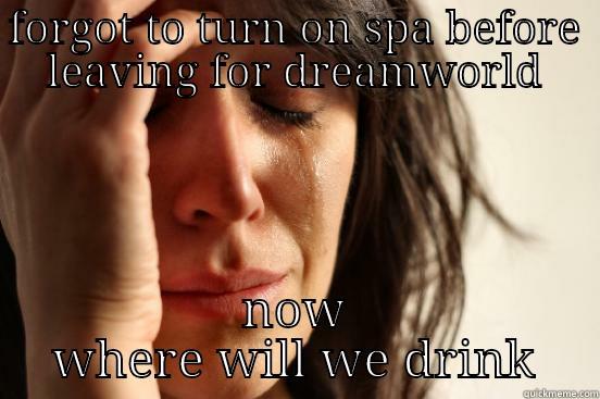 FORGOT TO TURN ON SPA BEFORE LEAVING FOR DREAMWORLD NOW WHERE WILL WE DRINK First World Problems