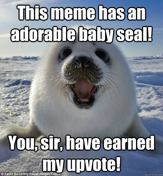 This meme has an adorable baby seal! You, sir, have earned my upvote!  Easily Pleased Seal