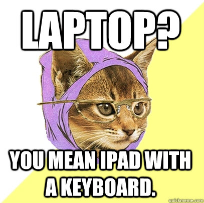 Laptop? You mean iPad with a keyboard.  Hipster Kitty