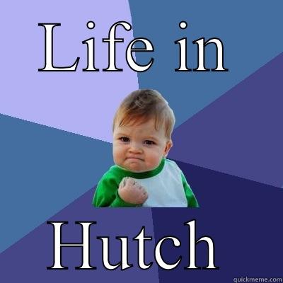 LIFE IN HUTCH Success Kid