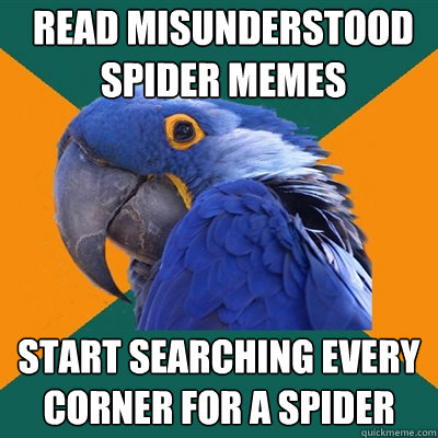 Read Misunderstood Spider Memes Start searching every corner for a spider  Paranoid Parrot
