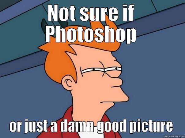 NOT SURE IF PHOTOSHOP OR JUST A DAMN GOOD PICTURE Futurama Fry
