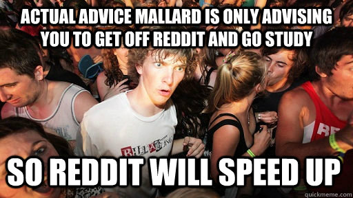 actual advice mallard is only advising you to get off reddit and go study so reddit will speed up  Sudden Clarity Clarence
