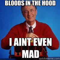 Bloods in the hood I aint even mad  