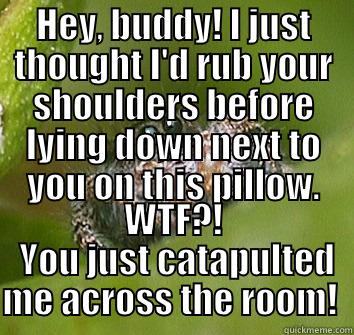HEY, BUDDY! I JUST THOUGHT I'D RUB YOUR SHOULDERS BEFORE LYING DOWN NEXT TO YOU ON THIS PILLOW. WTF?!  YOU JUST CATAPULTED ME ACROSS THE ROOM!  Misunderstood Spider