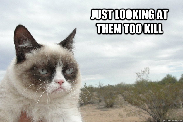 just looking at them too kill    Grump Cat