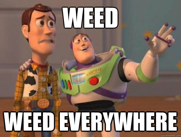 weed weed everywhere  Toy Story