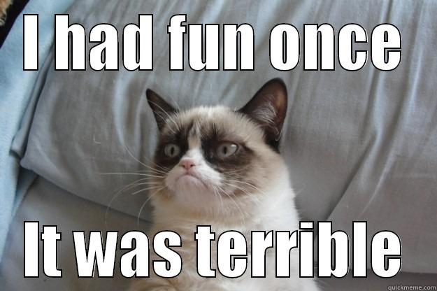 I HAD FUN ONCE IT WAS TERRIBLE Grumpy Cat