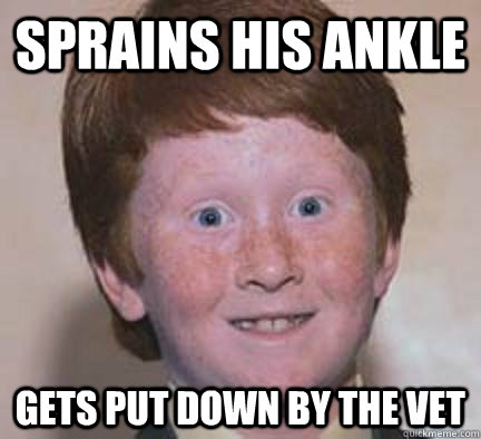 sprains his ankle gets put down by the vet  Over Confident Ginger