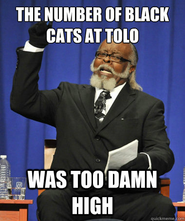 The number of black cats at tolo was too damn high  The Rent Is Too Damn High