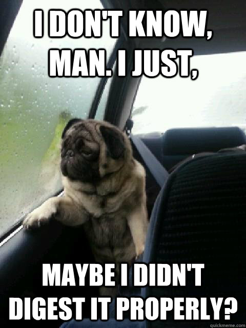 i don't know, man. i just, maybe i didn't digest it properly?  Introspective Pug