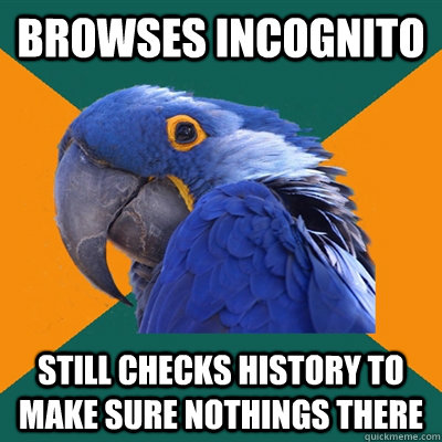 Browses incognito Still checks history to make sure nothings there  Paranoid Parrot