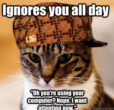 Ignores you all day 