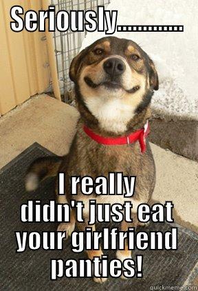 SERIOUSLY............. I REALLY DIDN'T JUST EAT YOUR GIRLFRIEND PANTIES! Good Dog Greg