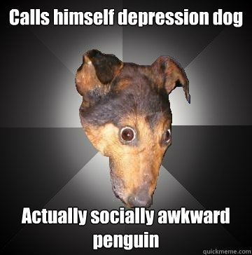 Calls himself depression dog Actually socially awkward penguin  Depression Dog