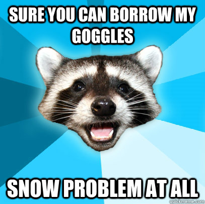 Sure you can borrow my goggles Snow problem at all   Lame Pun Coon