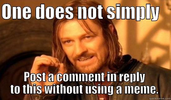 ONE DOES NOT SIMPLY    POST A COMMENT IN REPLY TO THIS WITHOUT USING A MEME. Boromir