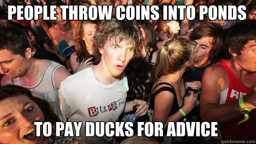 People throw coins into ponds to pay ducks for advice  Sudden Clarity Clarence
