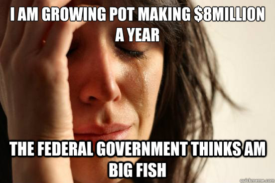 I am growing pot making $8million a year the federal government thinks am big fish  First World Problems