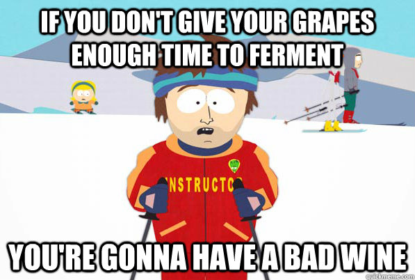 If you don't give your grapes enough time to ferment you're gonna have a bad wine  Bad Time Ski Instructor