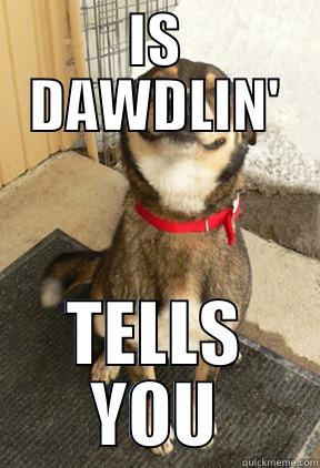 IS DAWDLIN' TELLS YOU Good Dog Greg