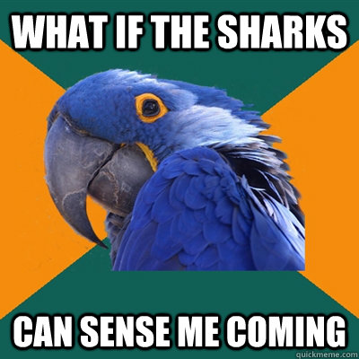 What if the sharks can sense me coming   Paranoid Parrot