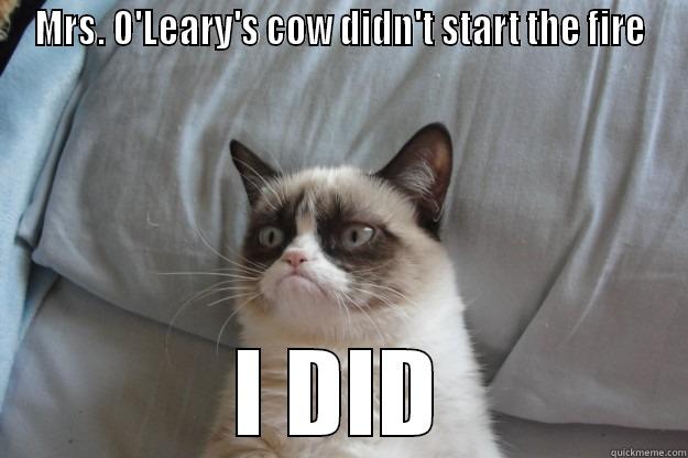 MRS. O'LEARY'S COW DIDN'T START THE FIRE I DID Grumpy Cat