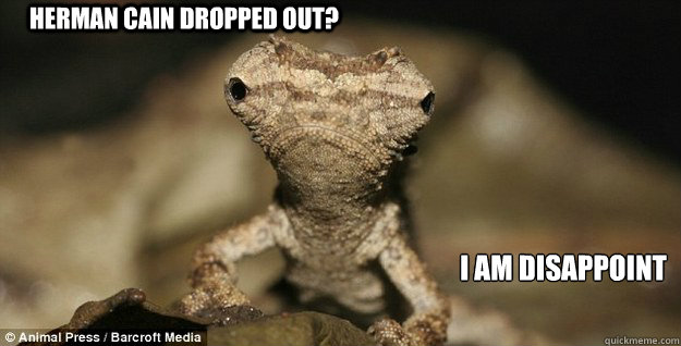 HERMAN CAIN DROPPED OUT? I AM DISAPPOINT
 - HERMAN CAIN DROPPED OUT? I AM DISAPPOINT
  Misc