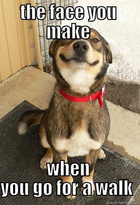 THE FACE YOU MAKE WHEN YOU GO FOR A WALK  Good Dog Greg
